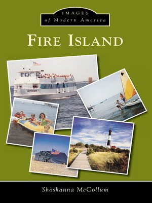 cover image of Fire Island